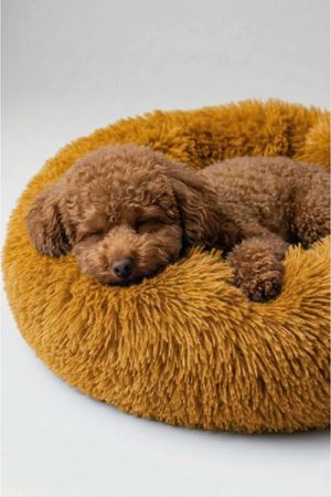 Benetton Yatak Donut Uzun Kürklü Turuncu 45 Cm