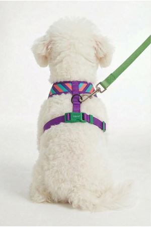 Benetton Hava Ağ Mix (XS)