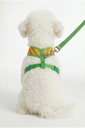 Benetton Hava Ağ Mix (M)
