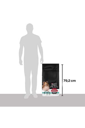 Proplan Köpek Maması Orta Irk Kuzulu 14 Kg