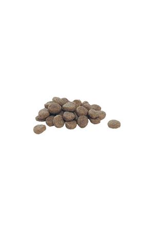 Proplan Yavru Köpek Mama Orta Irk Kuzu Pirinç 3 Kg