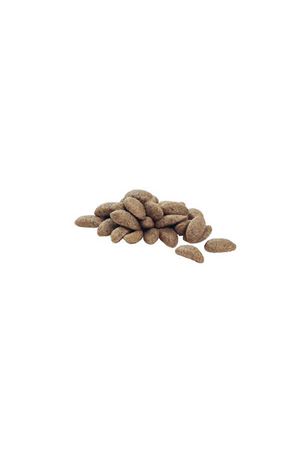 Proplan Köpek Maması Büyük Irk Somon,Pirinç 14 Kg