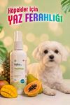 Reflex Care Tropikal Kokulu Köpek Kolonyası 125 ml