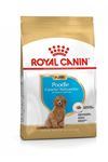 Royal Canin Poodle Yavru Köpek Maması 3kg