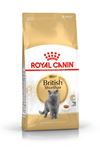 Royal Canin British Shorthair Adult Yetişkin Kedi Maması 2 Kg