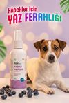 Reflex Care Yaban Mersini Kokulu Köpek Kolonyası 125 ml