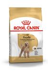 Royal Canin Poodle Yetişkin Kuru Köpek Maması 3kg