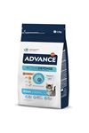 Advance Yavru Kedi Maması Tavuk Ve Pirinçli 1.5 Kg