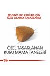 Royal Canin Kedi Maması Sfenks 2 Kg
