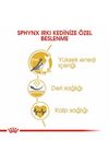Royal Canin Kedi Maması Sfenks 2 Kg