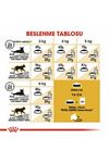 Royal Canin Kedi Maması Sfenks 2 Kg