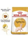 Royal Canin Kedi Maması Sfenks 2 Kg