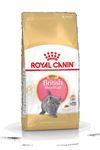 Royal Canin Yavru Kedi Mama British Shorthair 2 Kg