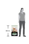 Proplan Kısır Kedi Maması Somon 10 Kg