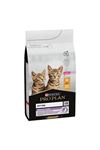 Proplan Yavru Kedi Maması Tavuklu 10 Kg