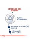 Royal Canin Köpek Maması Büyük Irk 15 Kg