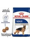Royal Canin Köpek Maması Büyük Irk 15 Kg