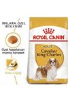 Royal Canin Köpek Mama Cavalier King Charles 1.5Kg