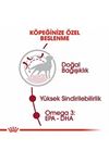 Royal Canin Köpek Maması Orta Irk 15 Kg