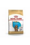 Royal Canin Yavru Köpek Maması Cocker 3 Kg