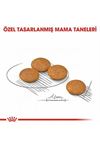 Royal Canin Köpek Maması Dermacomfort Mini Irk 3Kg