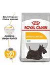 Royal Canin Köpek Maması Dermacomfort Mini Irk 3Kg