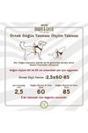 Doggie Köpek Göğüs Tasması Kırmızı 1.5*35-40 Cm