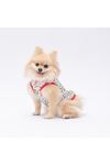 Pawstar T-Shirt Mutlu Kaktüs Desenli (XL)