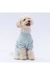 Pawstar Tulum Mint Angers (L)
