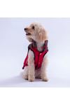 Pawstar Yelek Elgin Paws Kırmızı (XL)
