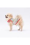 Pawstar T-Shirt Mutlu Kaktüs Desenli (M)