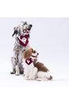 Pawstar Bordo Smokin Fular