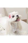 M-Pets Glam Köpekler İçin Toka Kırmızı
