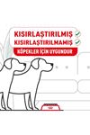 Benetton Sweatshirt Kırmızı (XXL)
