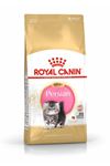 Pawstar Köpek Ayakkabısı Kırmızı No:5