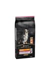 Proplan Köpek Maması Orta,Büyük Irk 7+ Somon 14Kg