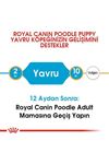 Royal Canin Köpek Maması Poodle 2 Kg+2 Pouch