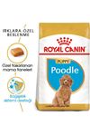Royal Canin Köpek Maması Poodle 2 Kg+2 Pouch